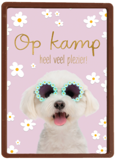Hond op kamp