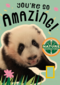 verjaardag kaart pandabeer