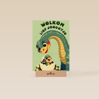 Geboorte Welkom Lief Jongetje