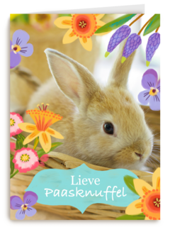 Lieve paasknuffel