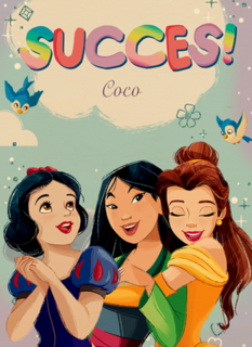 Succes kaart Disney prinsessen