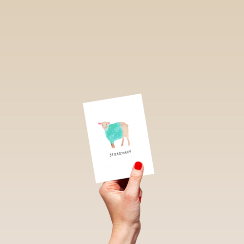 Beterschapskaart schaap met trui