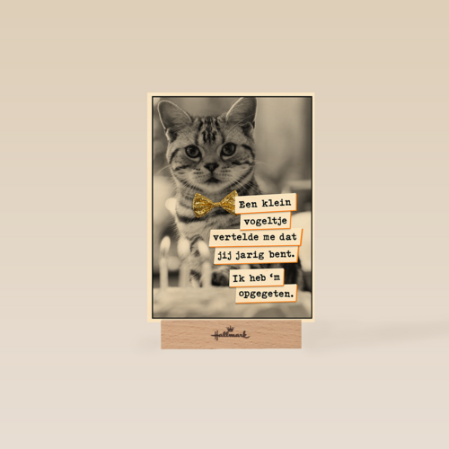 Vogel Poes  verjaardag