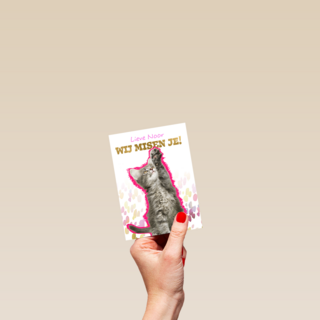 Lieve we missen je kat Op Kamp