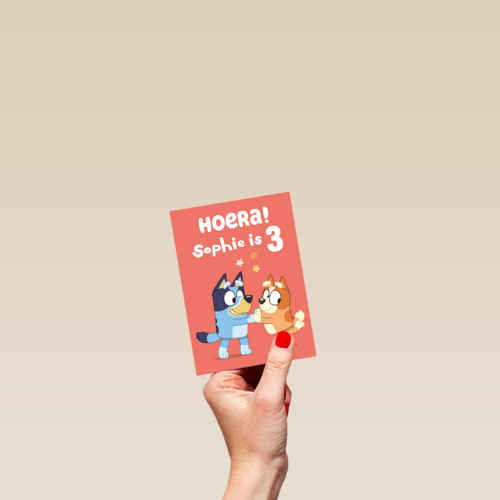 Bluey Bingo Oranje Jarig