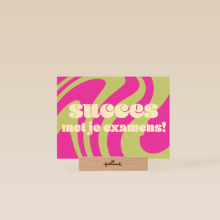 Swirl Succes Examens