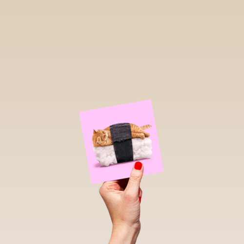 sushi kat