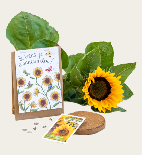 Bloemzaden Kraftzakje Zonnebloemen Matia Studio