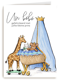 Anna Wijnands Un bebe jongen