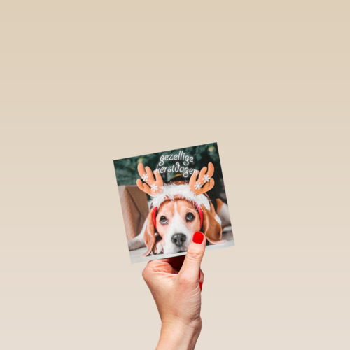Kerstkaart klassiek hond met gewei