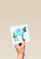 zebra met ballonnen blauw