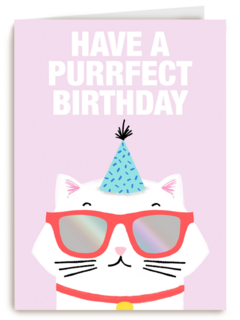 Verjaardagskaart tiener meisje Have a purrfect birthday