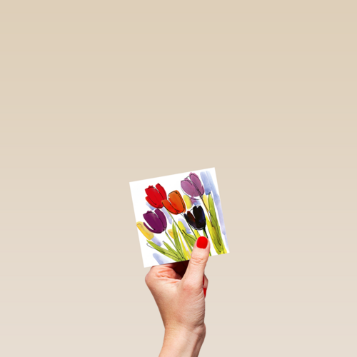 Chromazone Tulpen