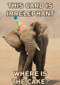 verjaardag kaart grappig this card is irrelephant