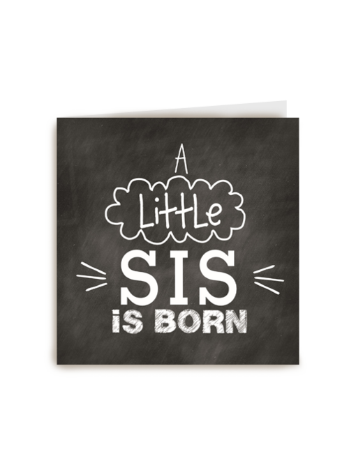 a little sis is born