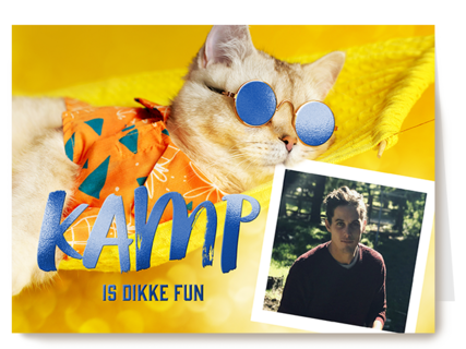 Kamp is dikke fun fotokaart kat