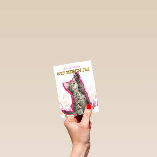Lieve we missen je kat Op Kamp