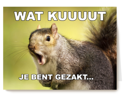 gezakt kaart wat kuuuut