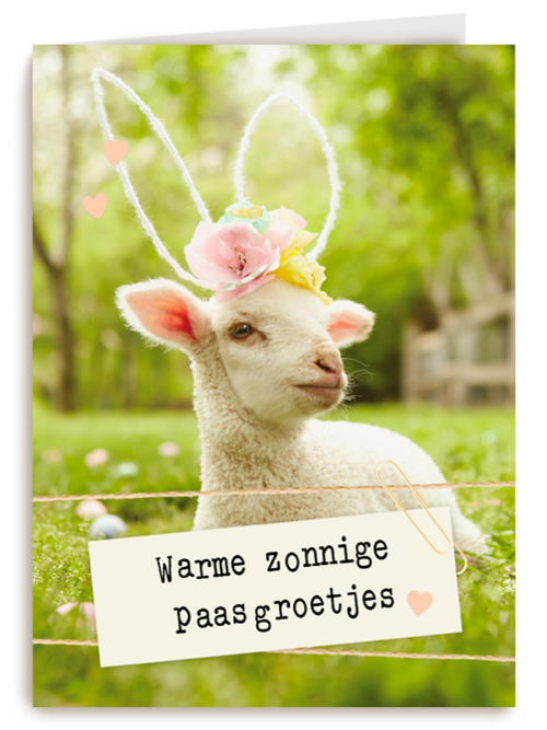 Warme zonnige paasgroetjes