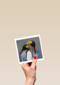 blanco kaart pinguins