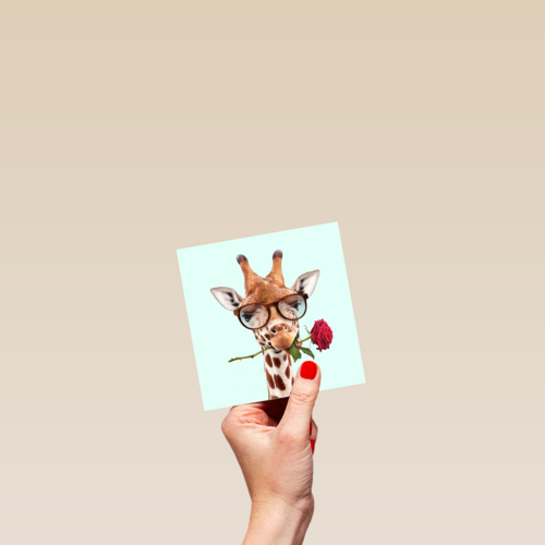 liefdeskaart grappig Giraffe met roos