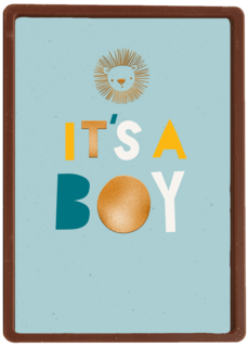 Leeuw it is a boy