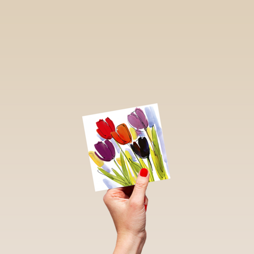 Chromazone Tulpen