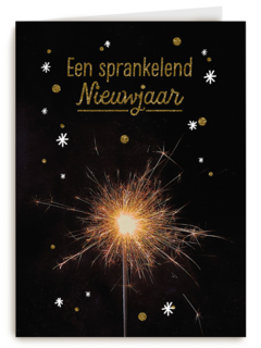vuurwerk een sprankelend nieuwjaar