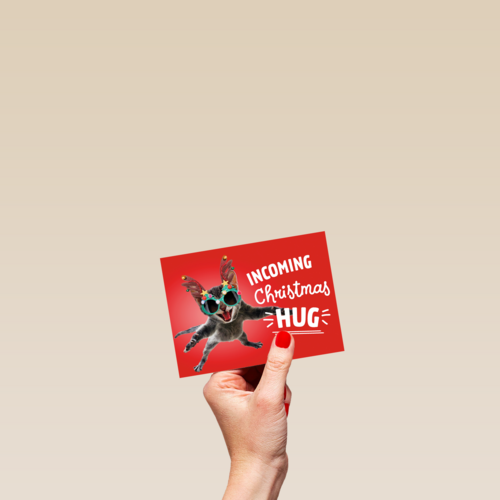 Kerstkaart Grappig Incoming Christmas hug