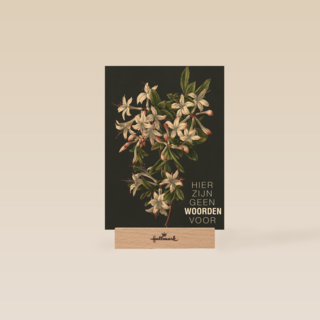 hier zijn geen woorden voor bloemen