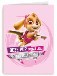 Paw Patrol deze pup komt jou feliciteren
