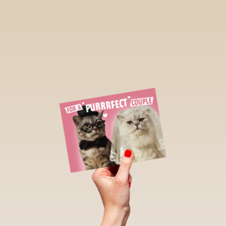 for a purrrfect couple