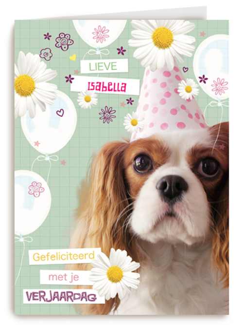 prodo dieren lieve gefeliciteerd met je verjaardag