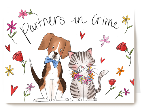 Matia Partners in crime
