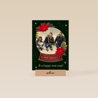 Kerst Foto Snowglobe