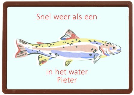 Beterschap Snel Weer Als Een Vis
