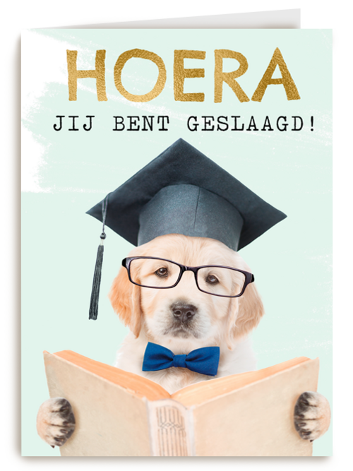 Hoera geslaagd slimme hond