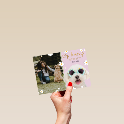 Op kamp heel veel plezier roze hond fotokaart