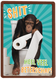 Beterschapskaart Grappig Shit heel veel beterschap