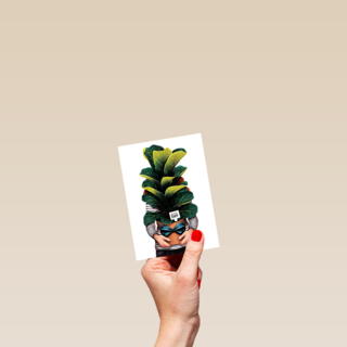 vriendschap kaart folio with love plant