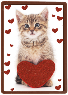 valentijnskaart klassiek poes met hart