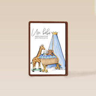 Anna Wijnands Un bebe jongen