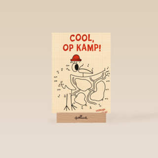 Cool op kamp spel