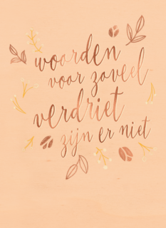 Voor zoveel verdriet zijn er geen woorden