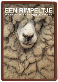 een rimpeltje meer of minder ziet niemand
