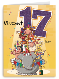 verjaardag leeftijden lorenzo de bruin 17