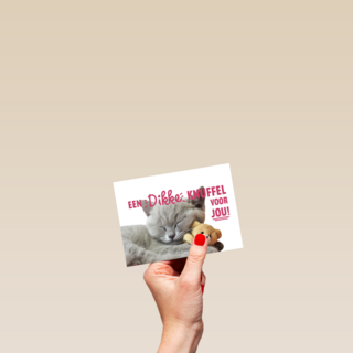 een dikke kattenknuffel voor jou