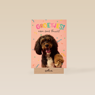 Op Kamp groetjes van thuis hond roze