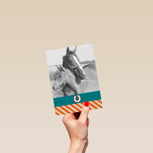 fotokaart voor paarden