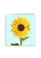 bananezonnebloem
